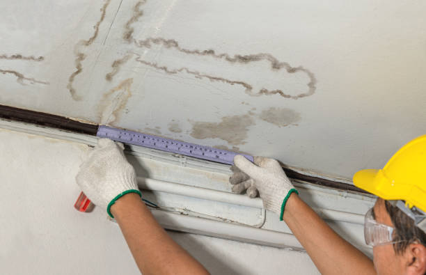 Reliable Emergency Water Damage Restoration contractor in Mount Pleasant, UT by Water Damage Irwin